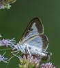347928 – Photo : lguez – France (12)